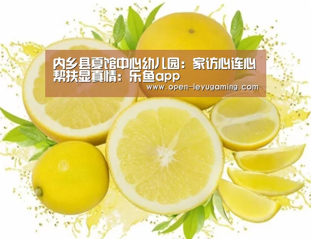 内乡县夏馆中心幼儿园:家访心连心帮扶显真