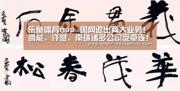乐鱼体育app-国网退出两大业务!鲁能、许继、南瑞诸多公司受牵连!(图2) 乐鱼体育app