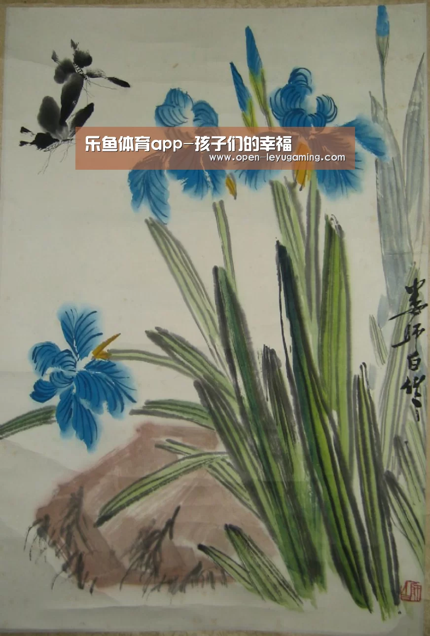 乐鱼app