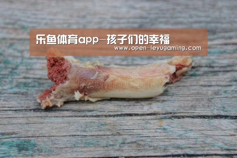 乐鱼app