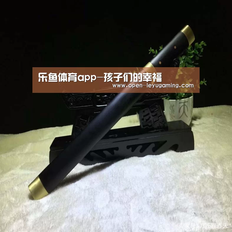 乐鱼体育app
