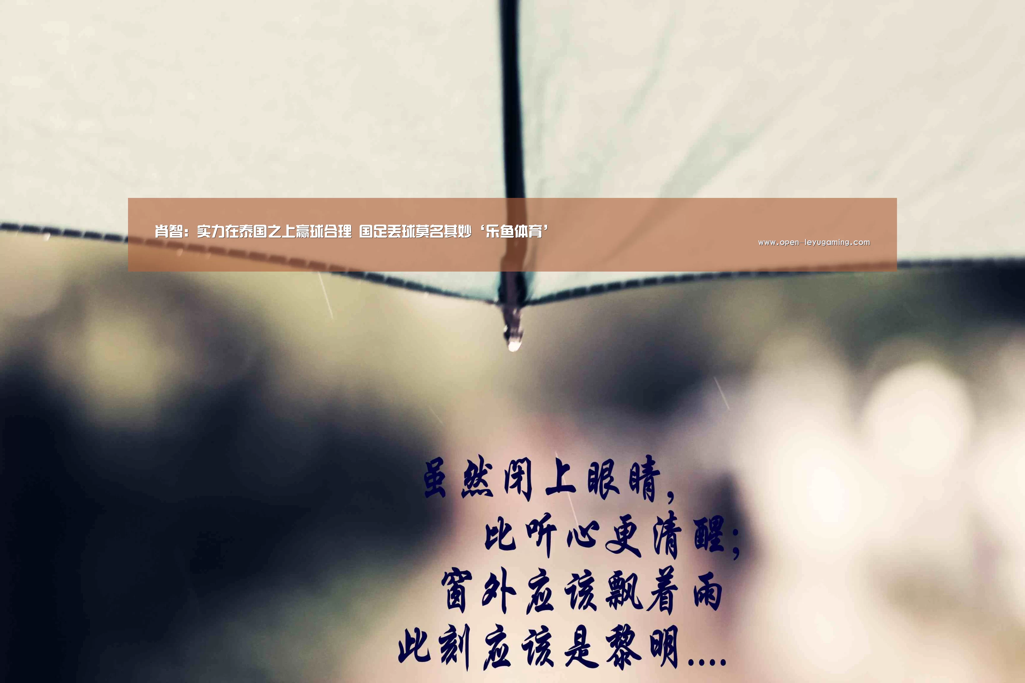 肖智:实力在泰国之上赢球合理 国足丢球莫名其妙‘乐鱼体育’(图1) 乐鱼体育app
